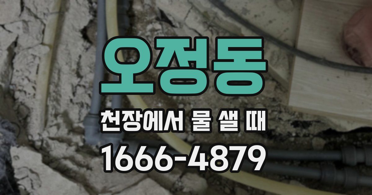 오정동 천장에서 물 샐 때