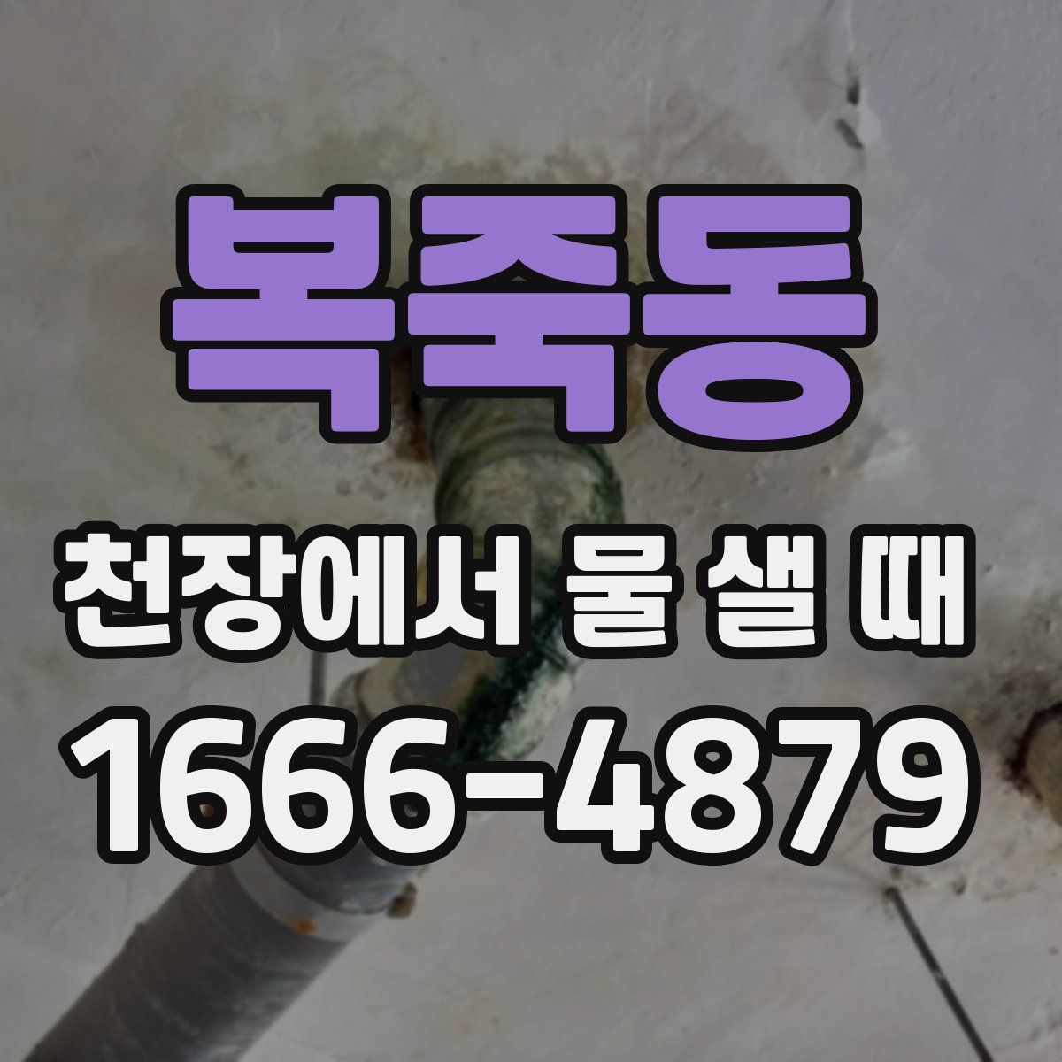 복죽동 천장에서 물 샐 때