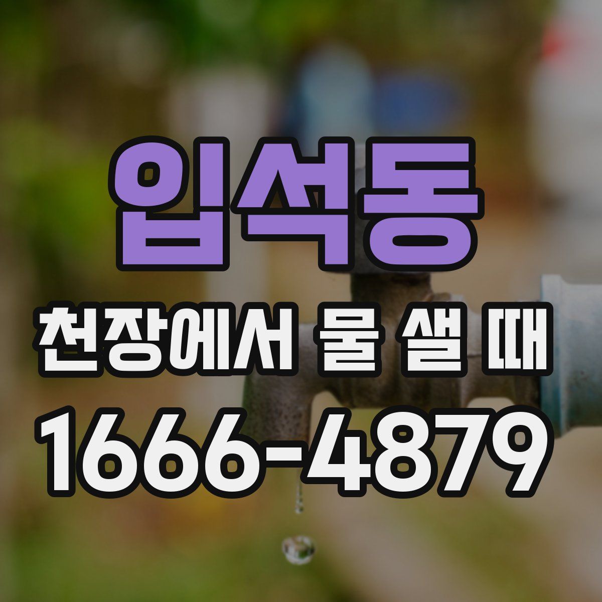 입석동 천장에서 물 샐 때