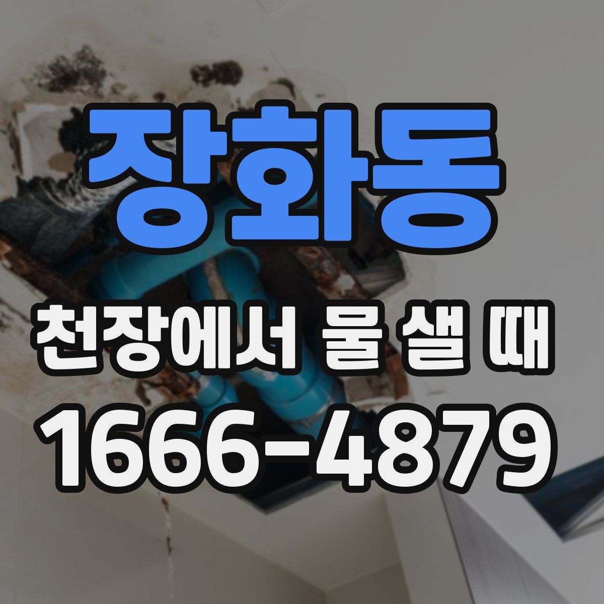 장화동 천장에서 물 샐 때