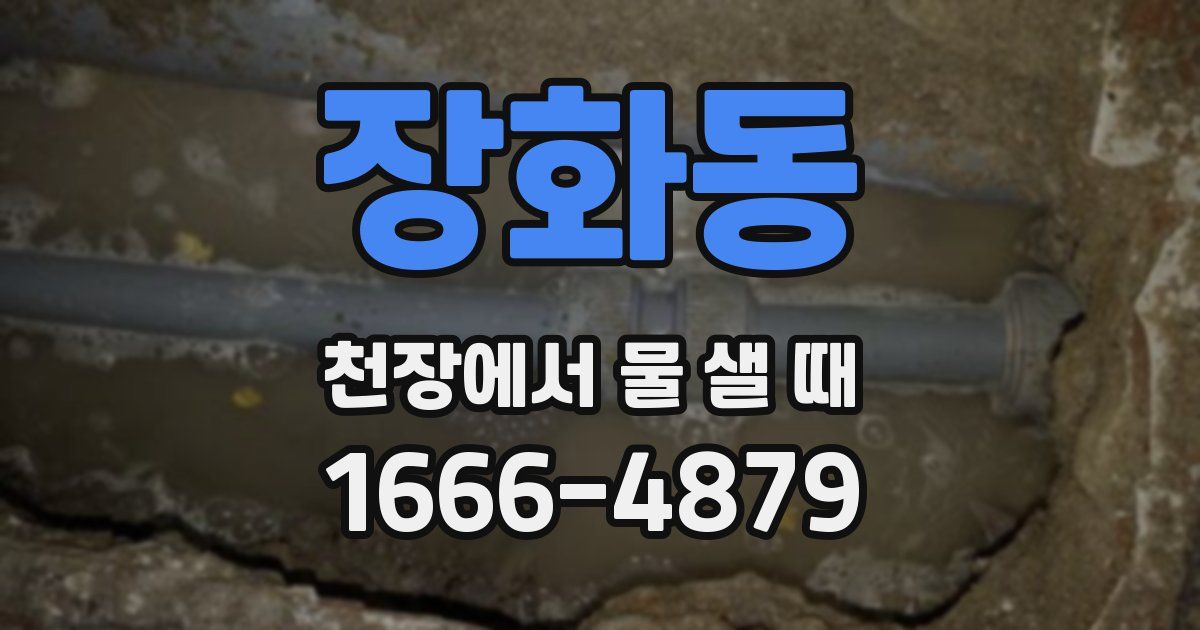 장화동 천장에서 물 샐 때