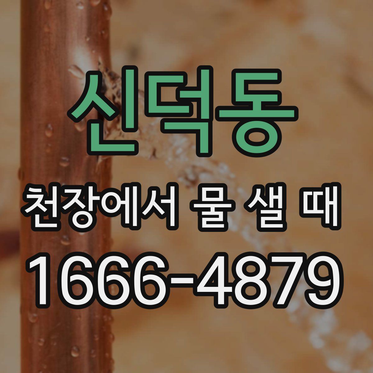 신덕동 천장에서 물 샐 때