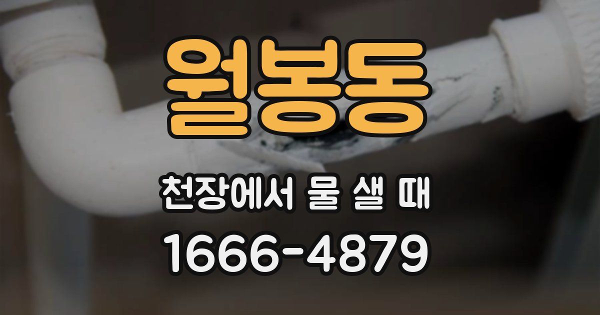 월봉동 천장에서 물 샐 때