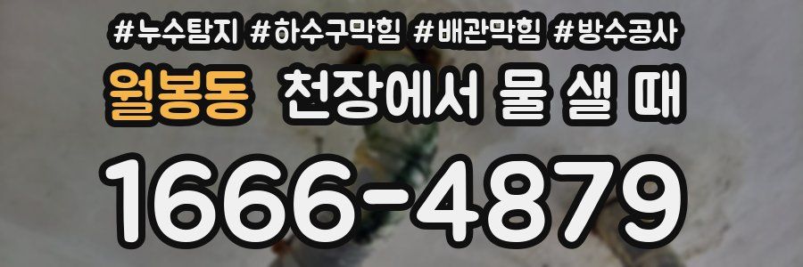 월봉동 천장에서 물 샐 때