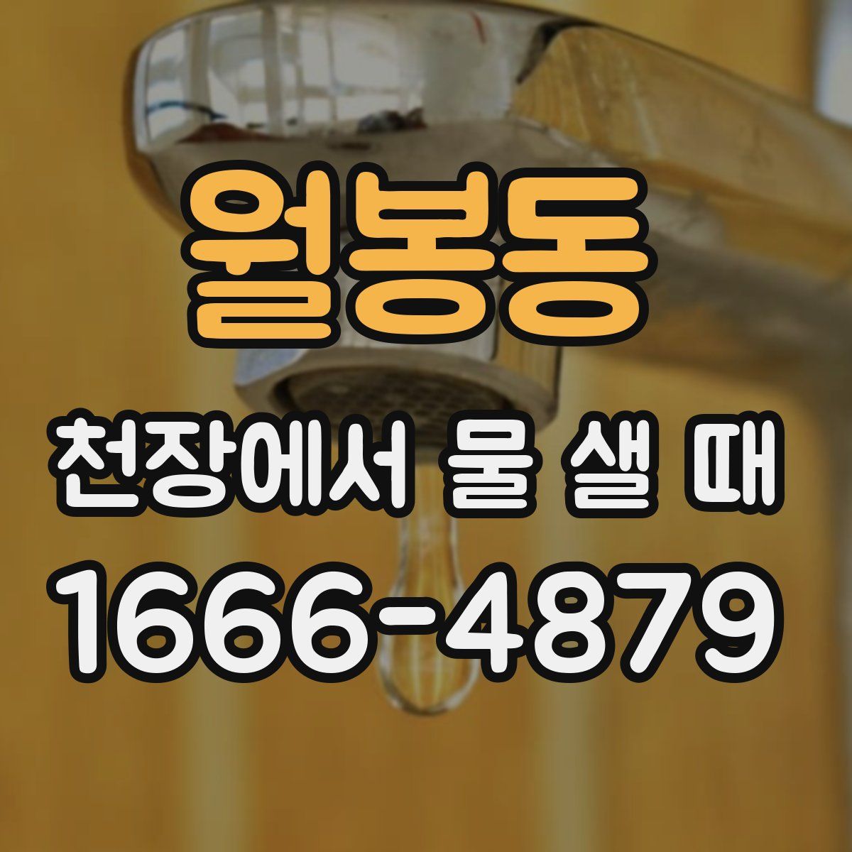 월봉동 천장에서 물 샐 때
