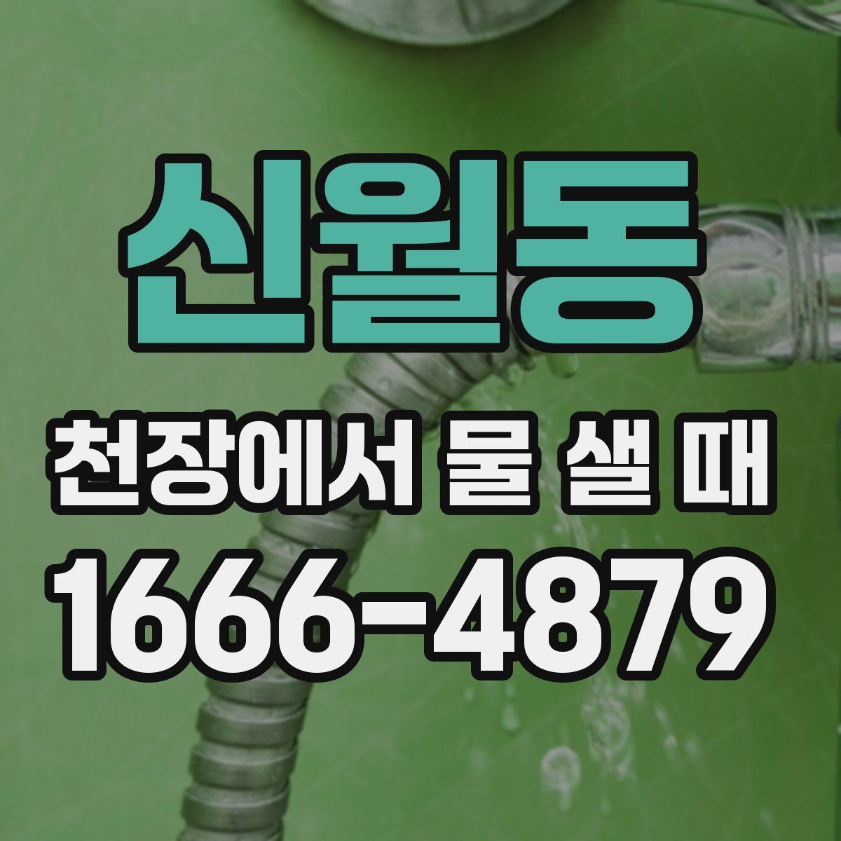신월동 천장에서 물 샐 때