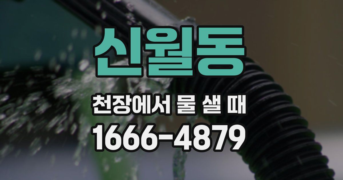 신월동 천장에서 물 샐 때