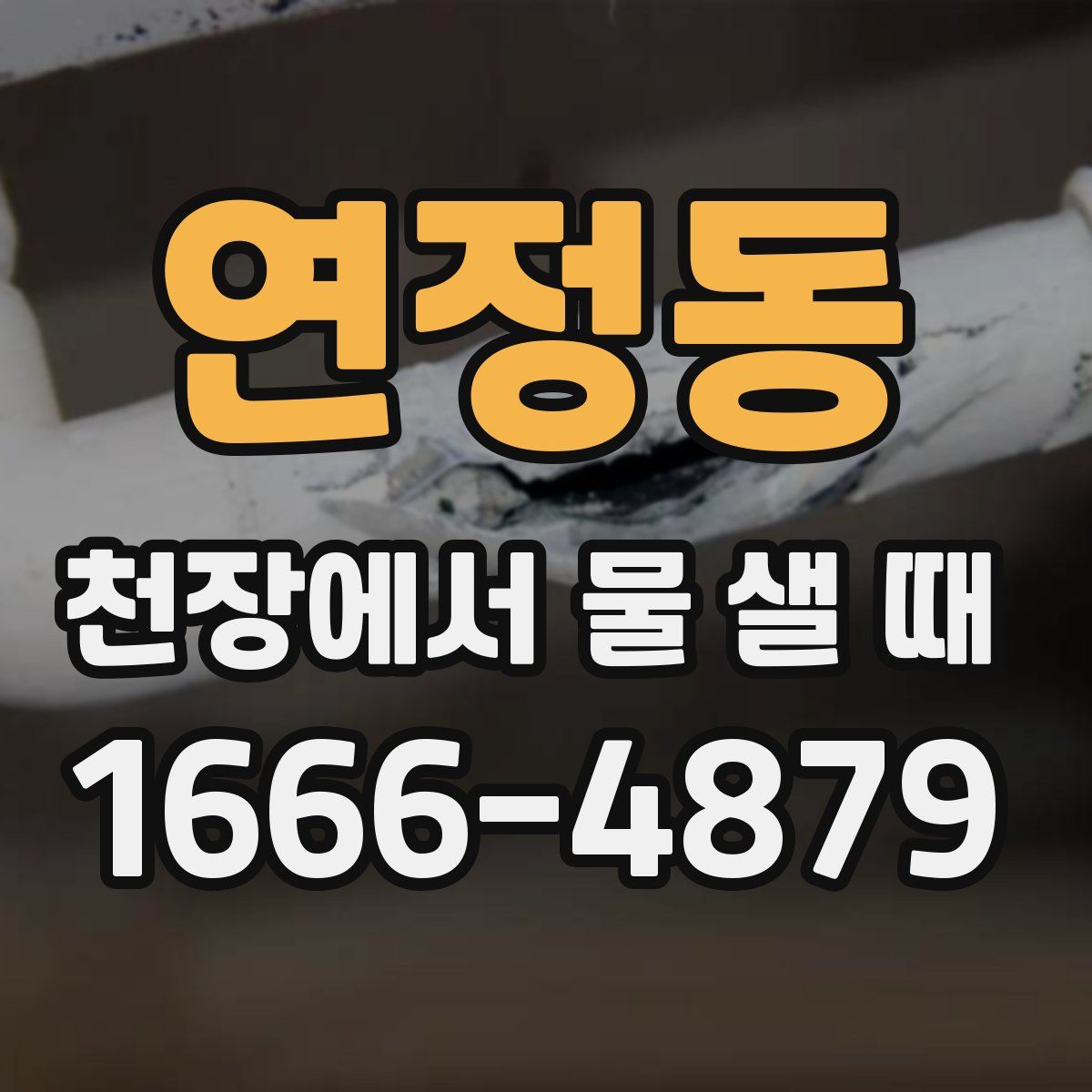 연정동 천장에서 물 샐 때
