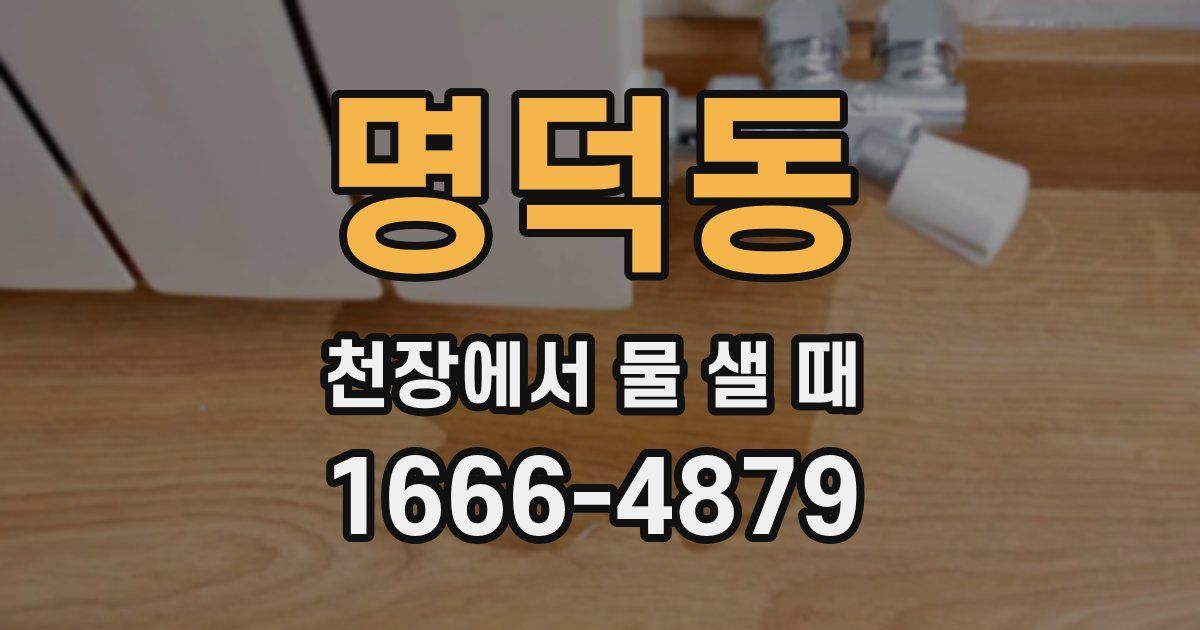 명덕동 천장에서 물 샐 때