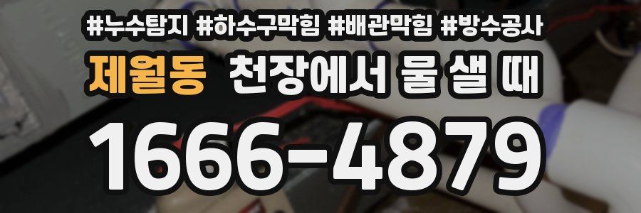 제월동 천장에서 물 샐 때