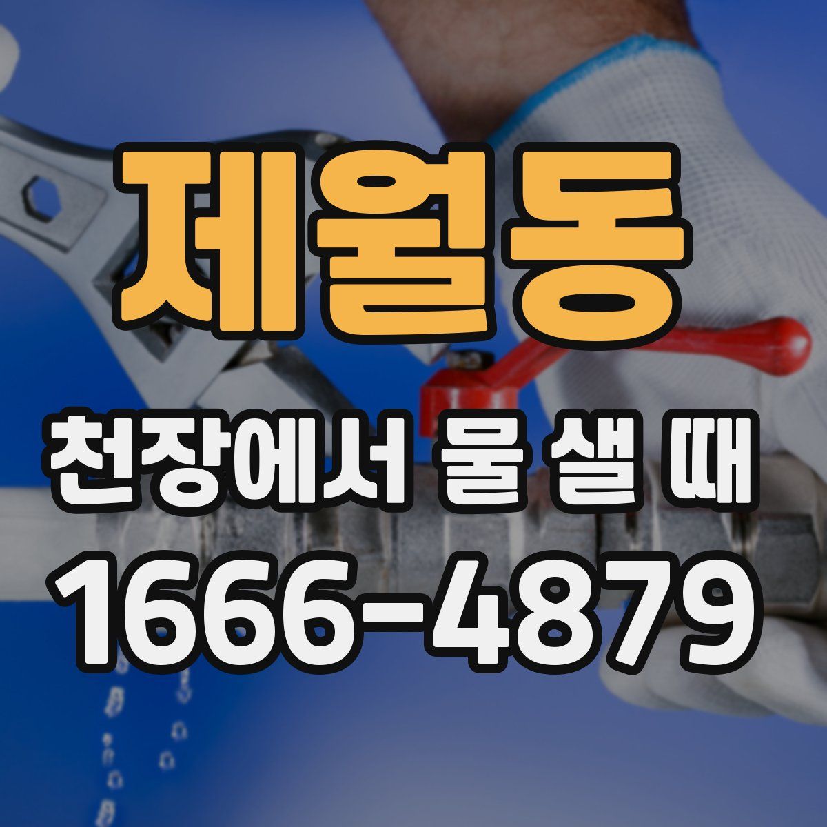 제월동 천장에서 물 샐 때