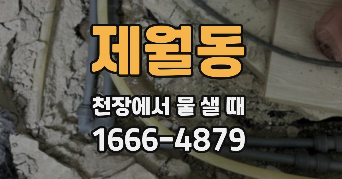 제월동 천장에서 물 샐 때