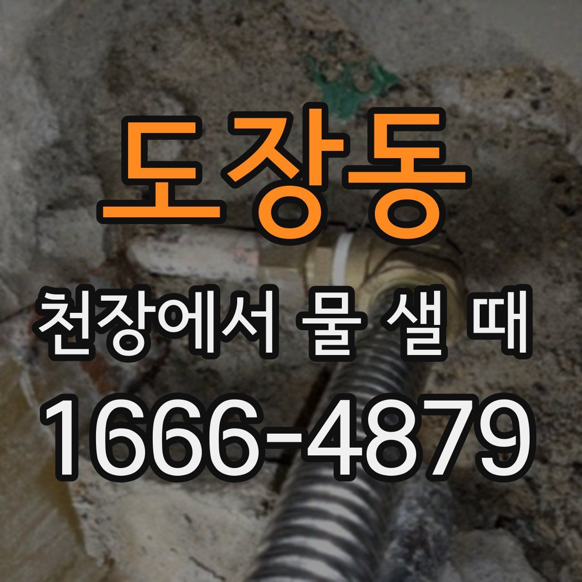 도장동 천장에서 물 샐 때