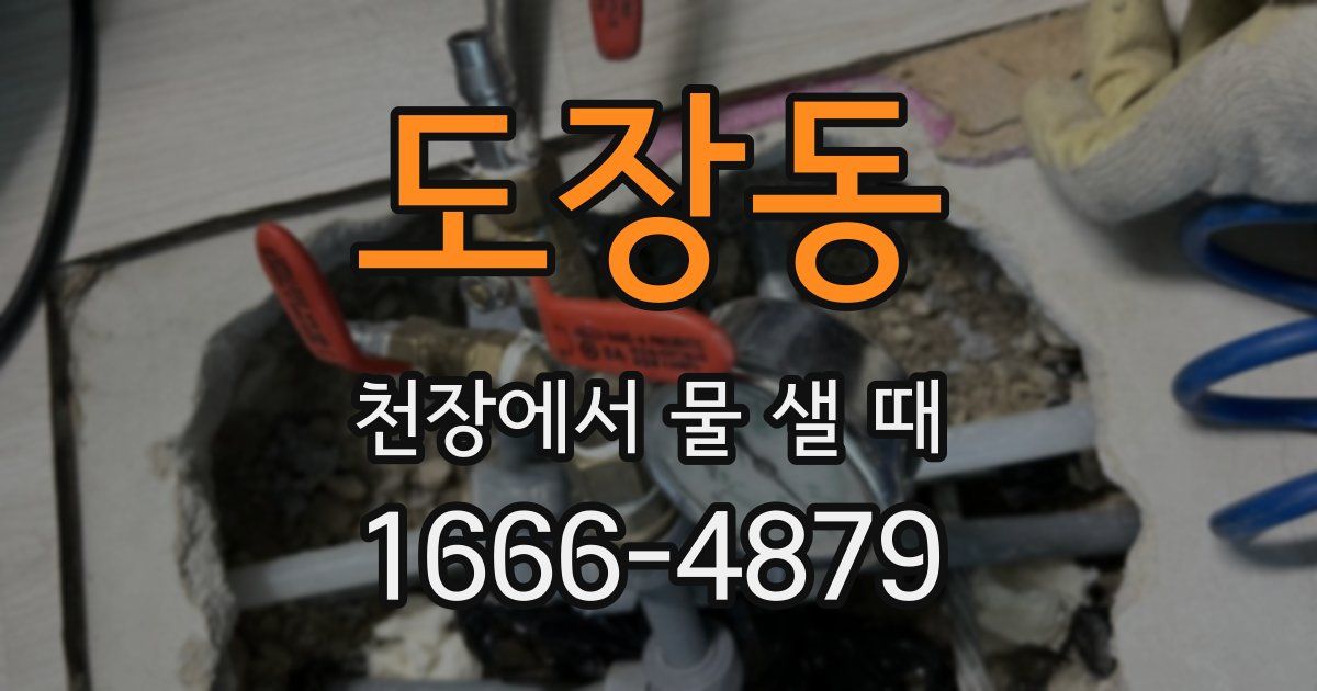 도장동 천장에서 물 샐 때