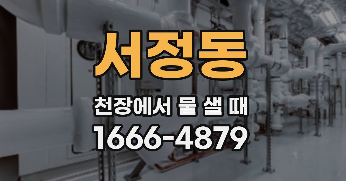 서정동 천장에서 물 샐 때