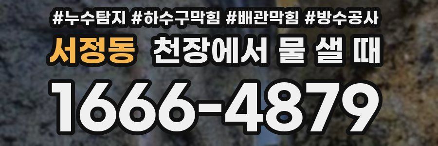 서정동 천장에서 물 샐 때