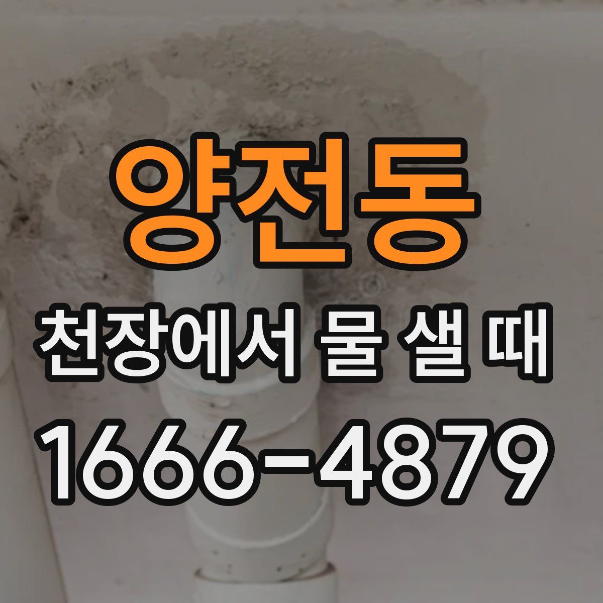 양전동 천장에서 물 샐 때