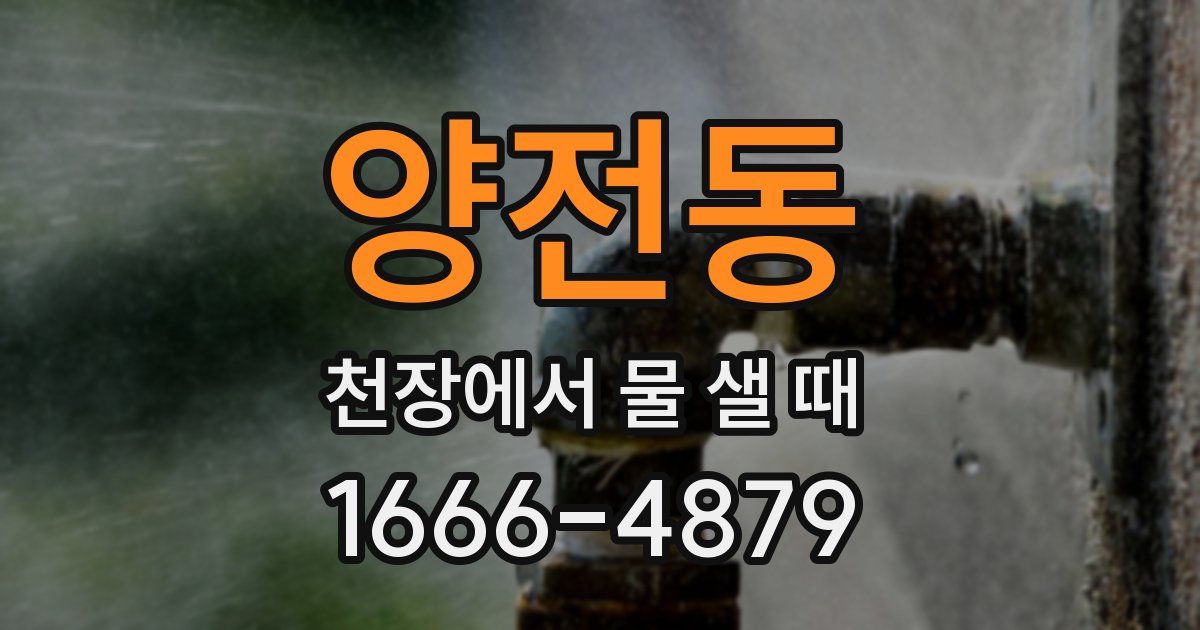 양전동 천장에서 물 샐 때