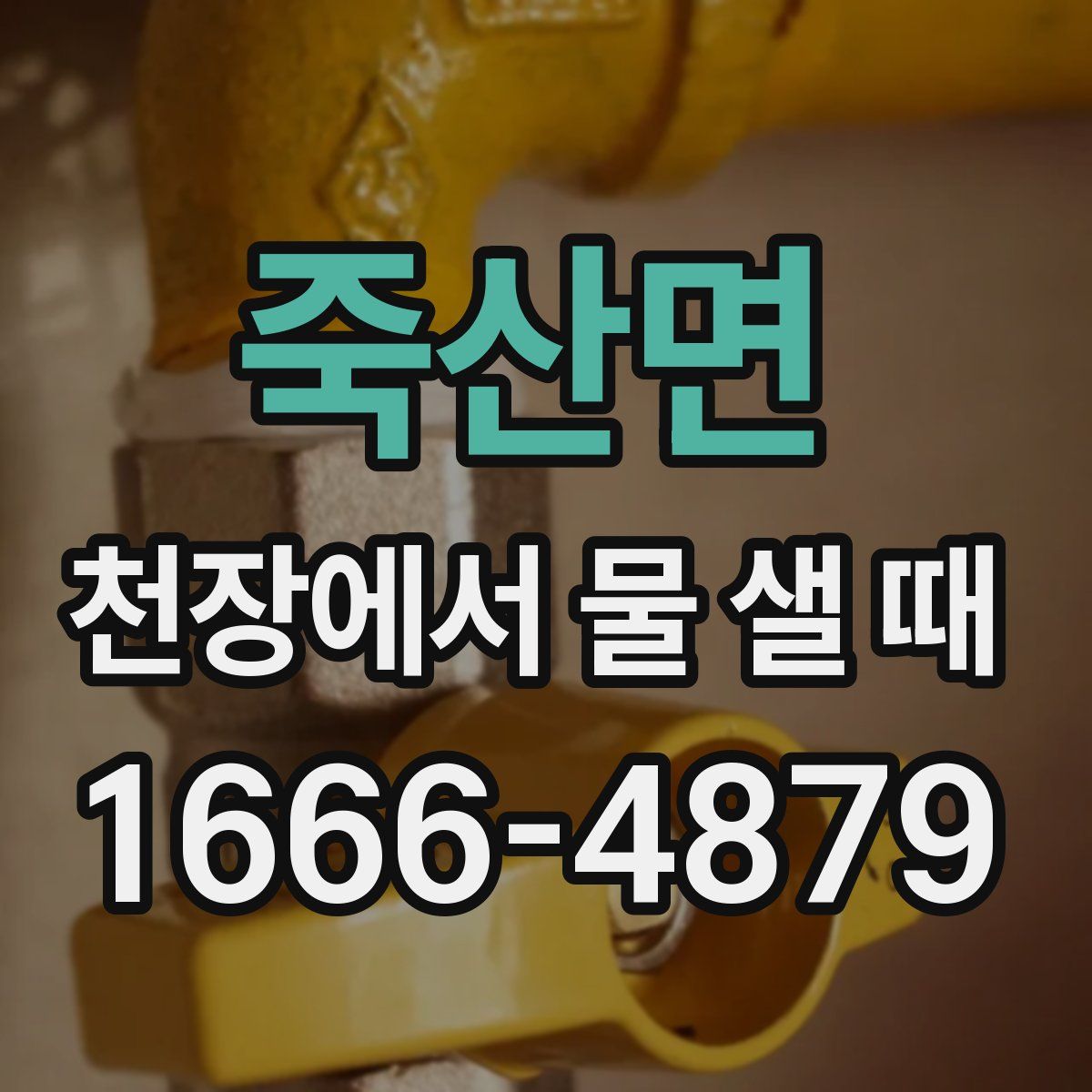 죽산면 천장에서 물 샐 때