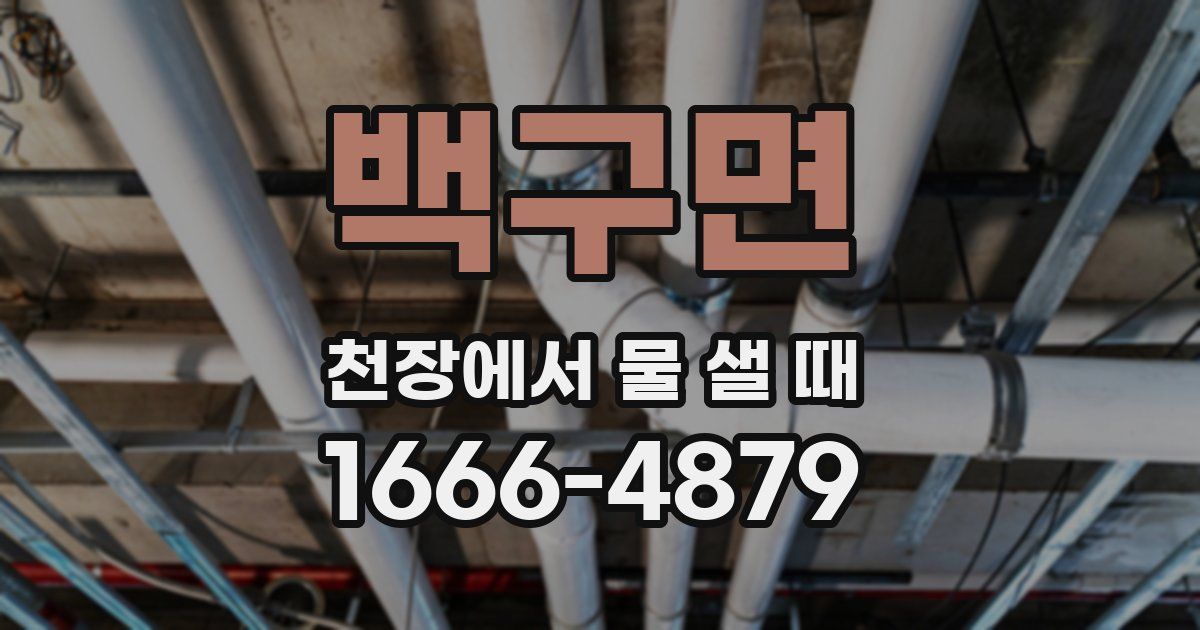 백구면 천장에서 물 샐 때