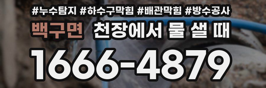 백구면 천장에서 물 샐 때