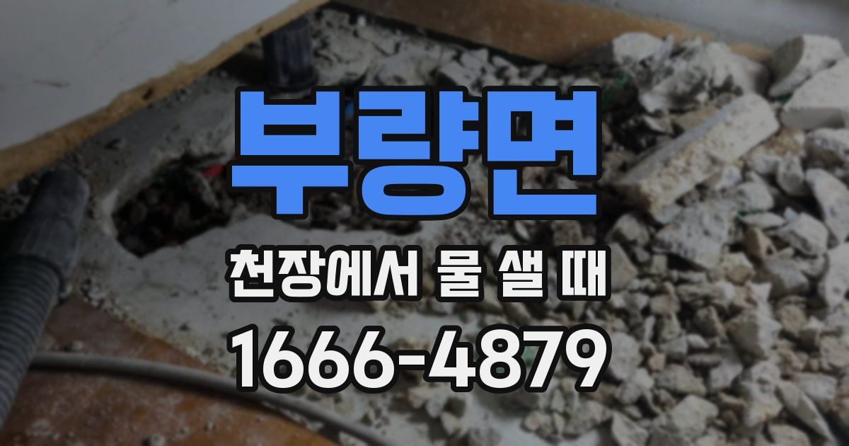 부량면 천장에서 물 샐 때