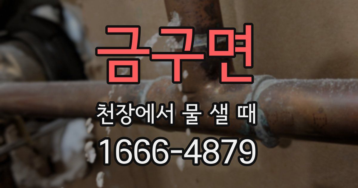 금구면 천장에서 물 샐 때