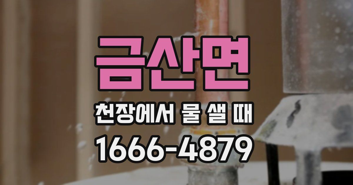 금산면 천장에서 물 샐 때