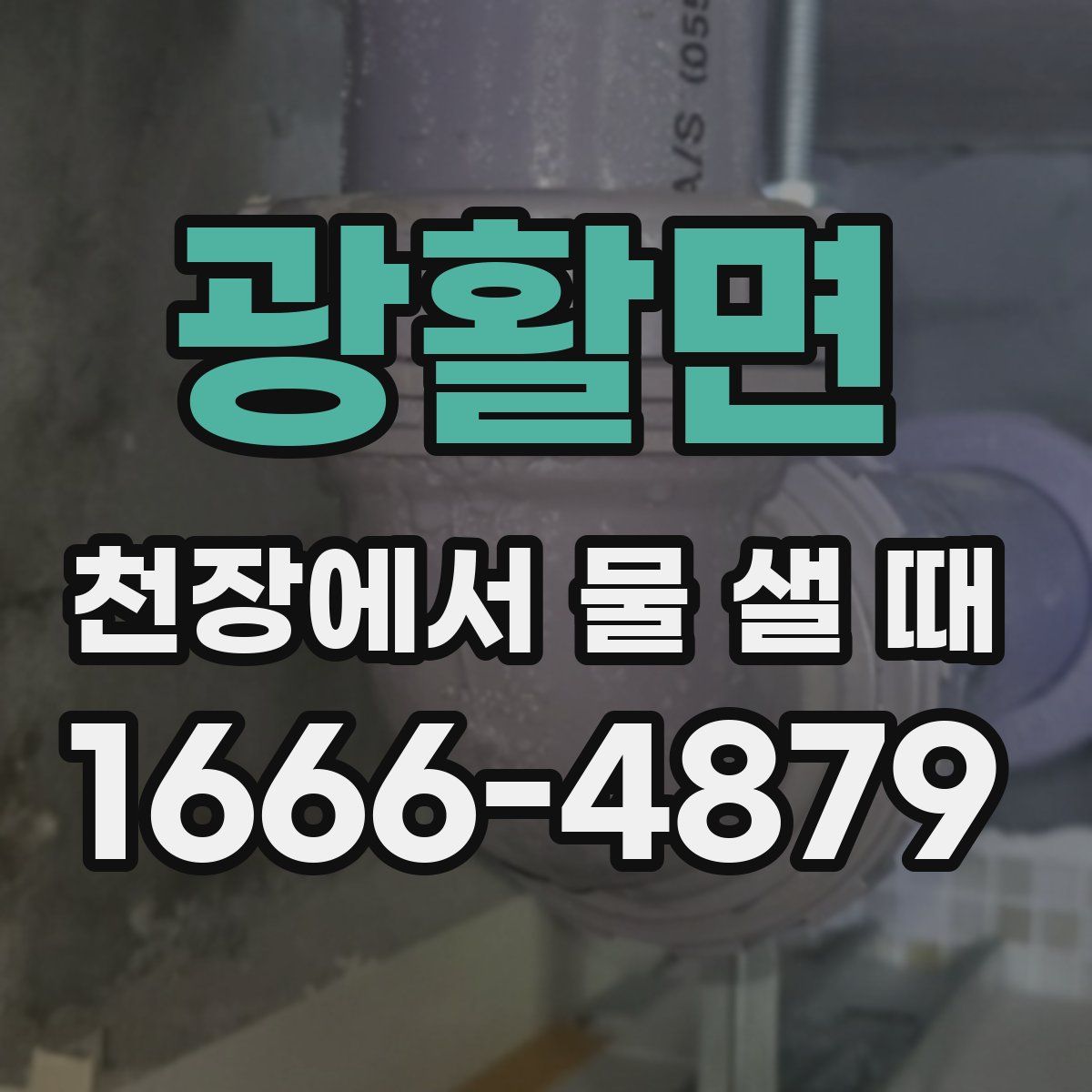 광활면 천장에서 물 샐 때