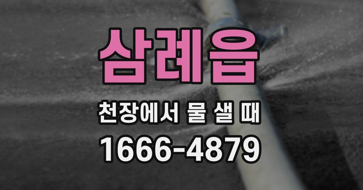 삼례읍 천장에서 물 샐 때