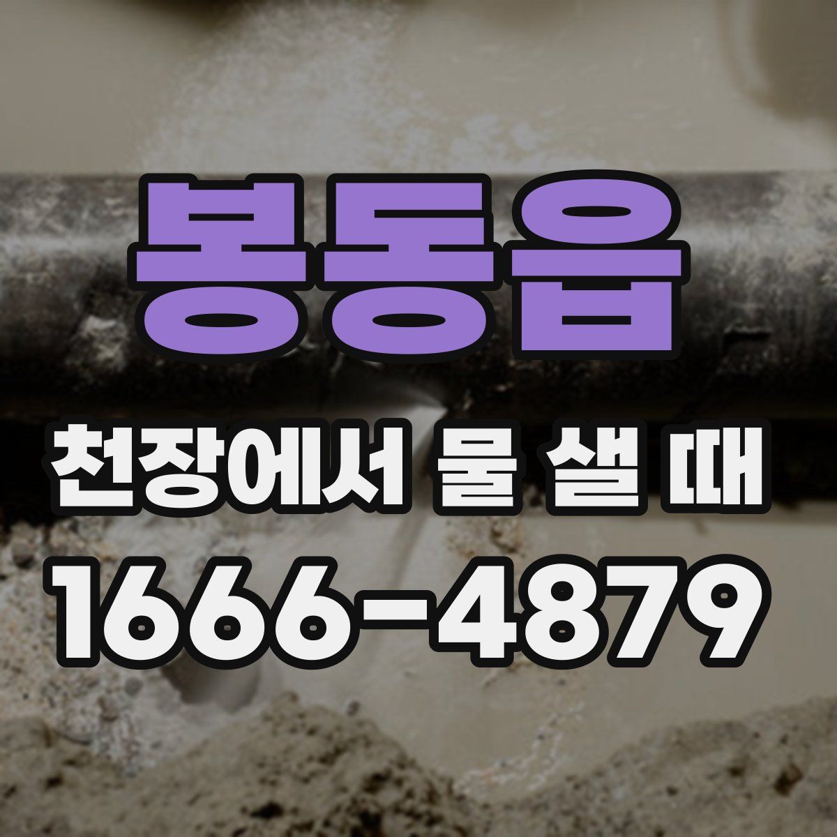 봉동읍 천장에서 물 샐 때