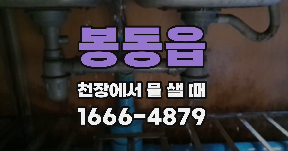 봉동읍 천장에서 물 샐 때