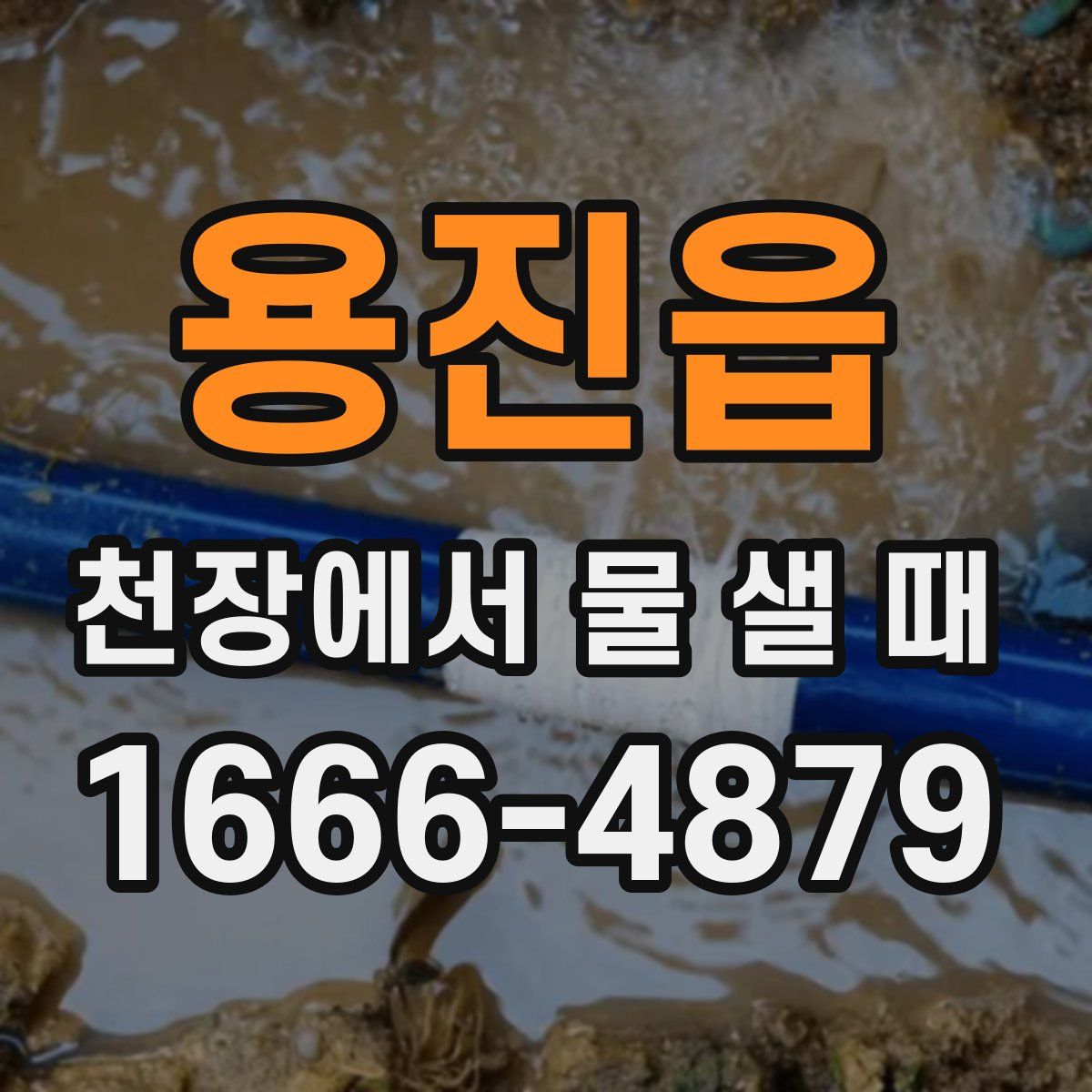 용진읍 천장에서 물 샐 때