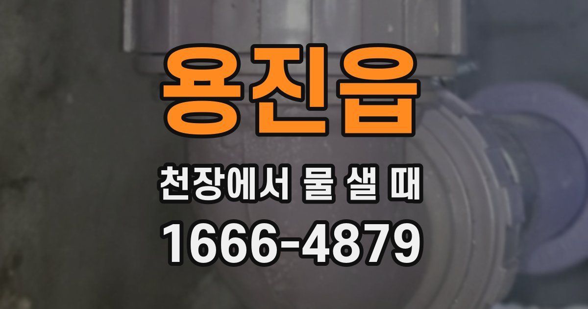 용진읍 천장에서 물 샐 때