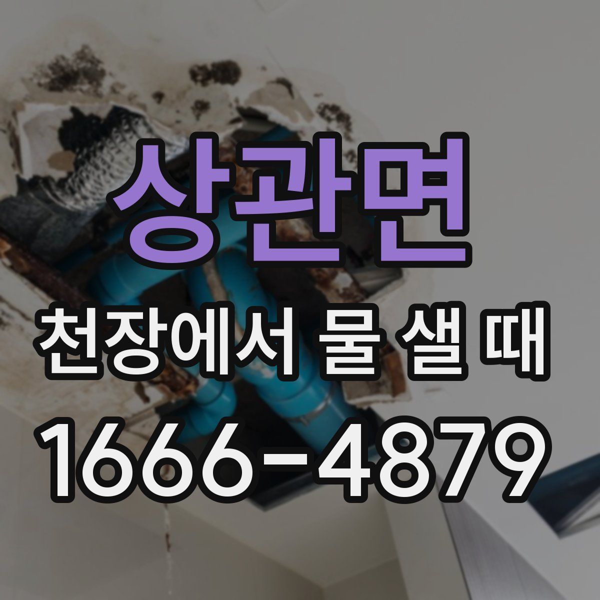 상관면 천장에서 물 샐 때
