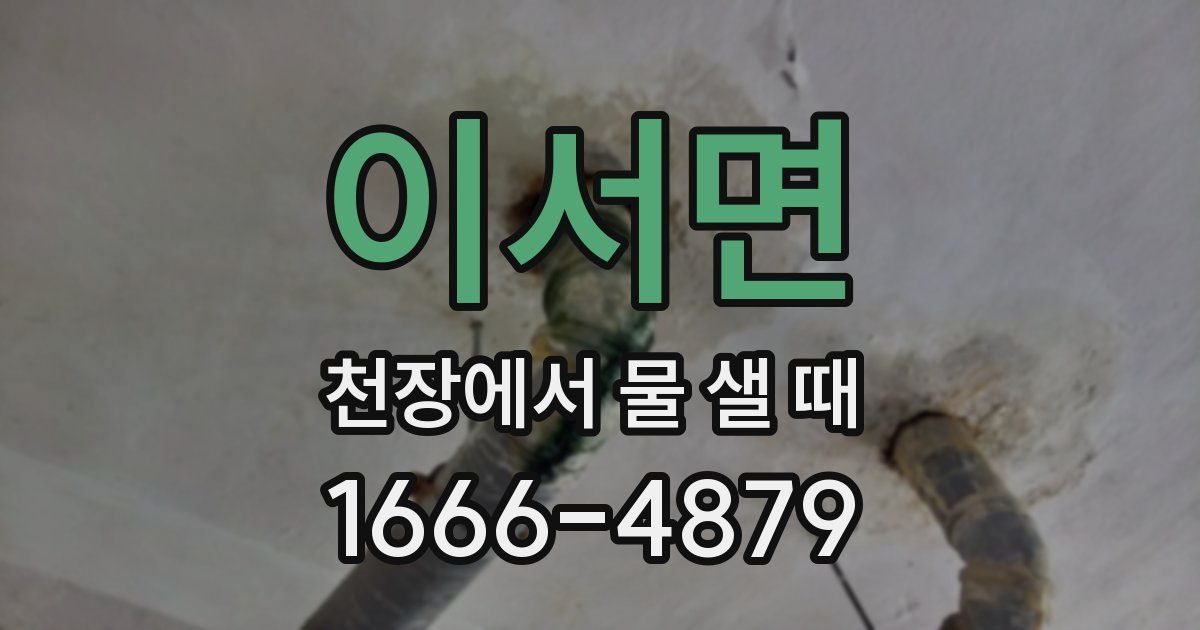 이서면 천장에서 물 샐 때