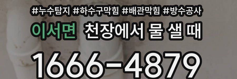 이서면 천장에서 물 샐 때