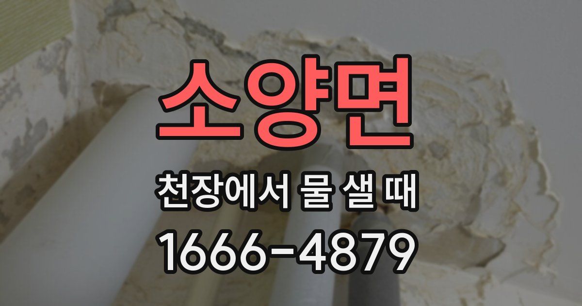 소양면 천장에서 물 샐 때