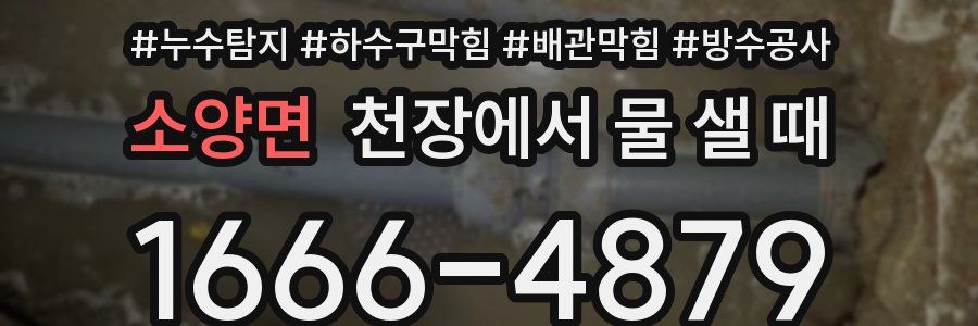 소양면 천장에서 물 샐 때