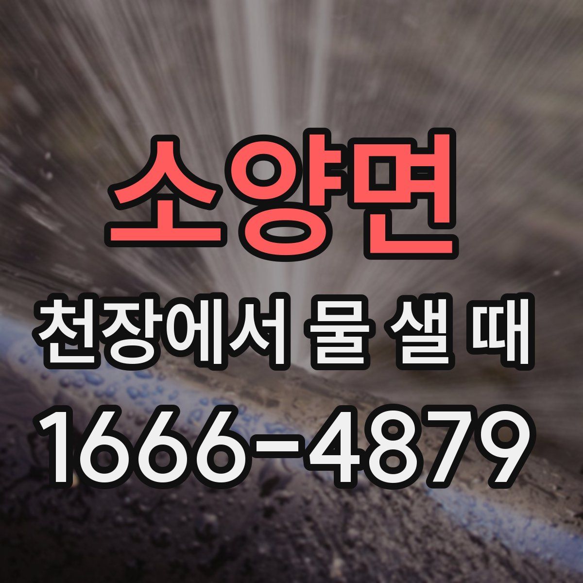 소양면 천장에서 물 샐 때
