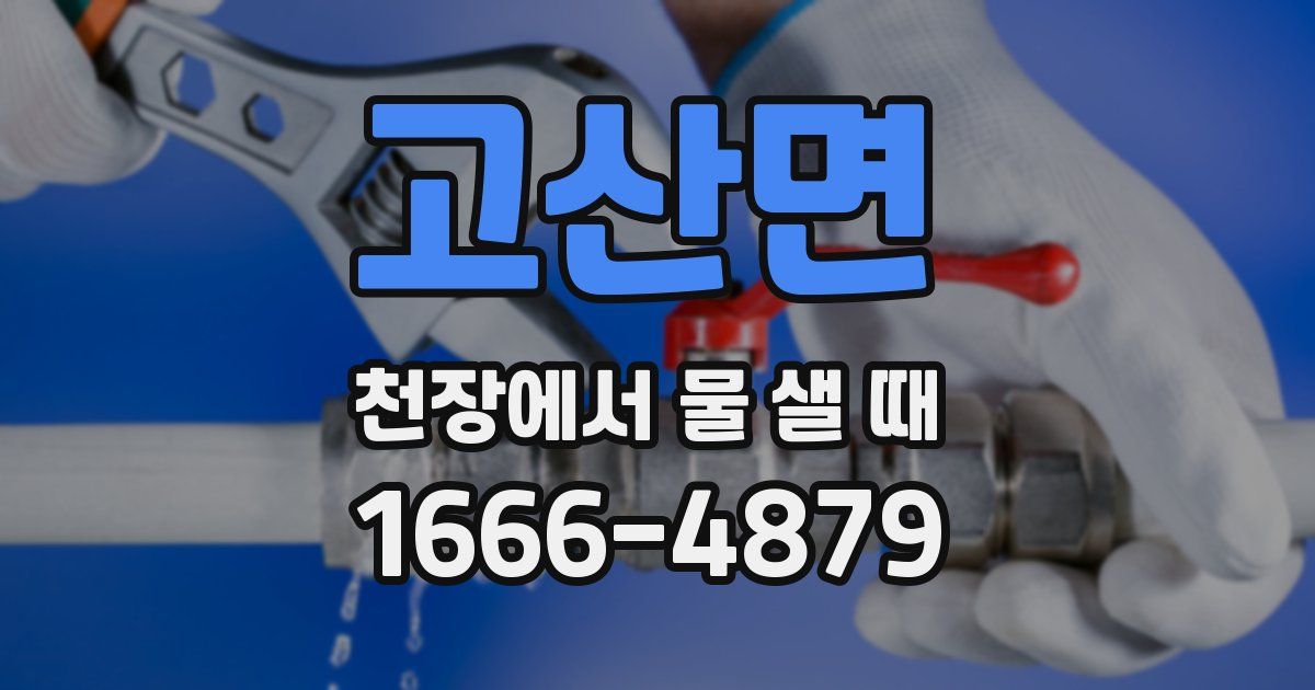 고산면 천장에서 물 샐 때
