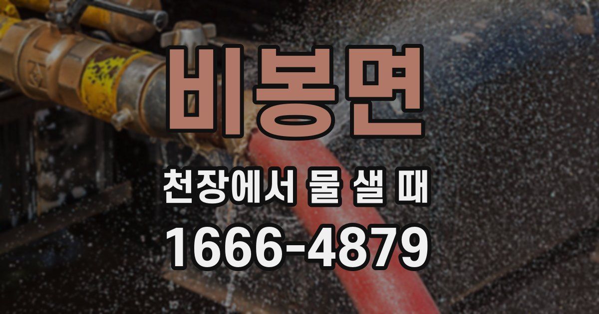 비봉면 천장에서 물 샐 때