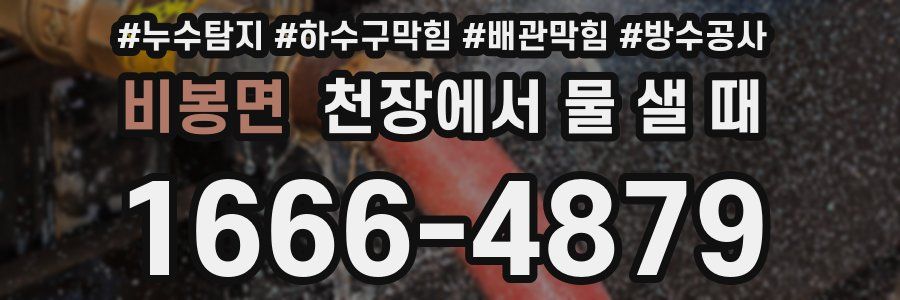 비봉면 천장에서 물 샐 때