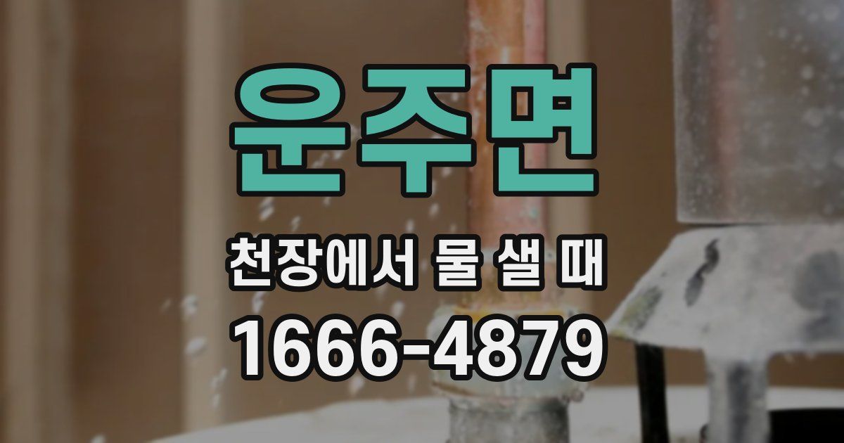 운주면 천장에서 물 샐 때