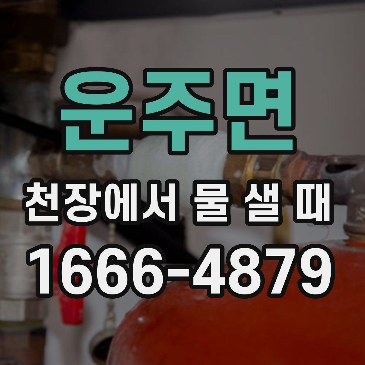 운주면 천장에서 물 샐 때