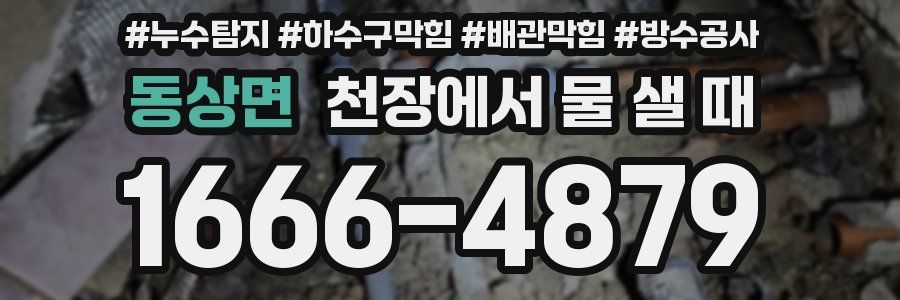 동상면 천장에서 물 샐 때