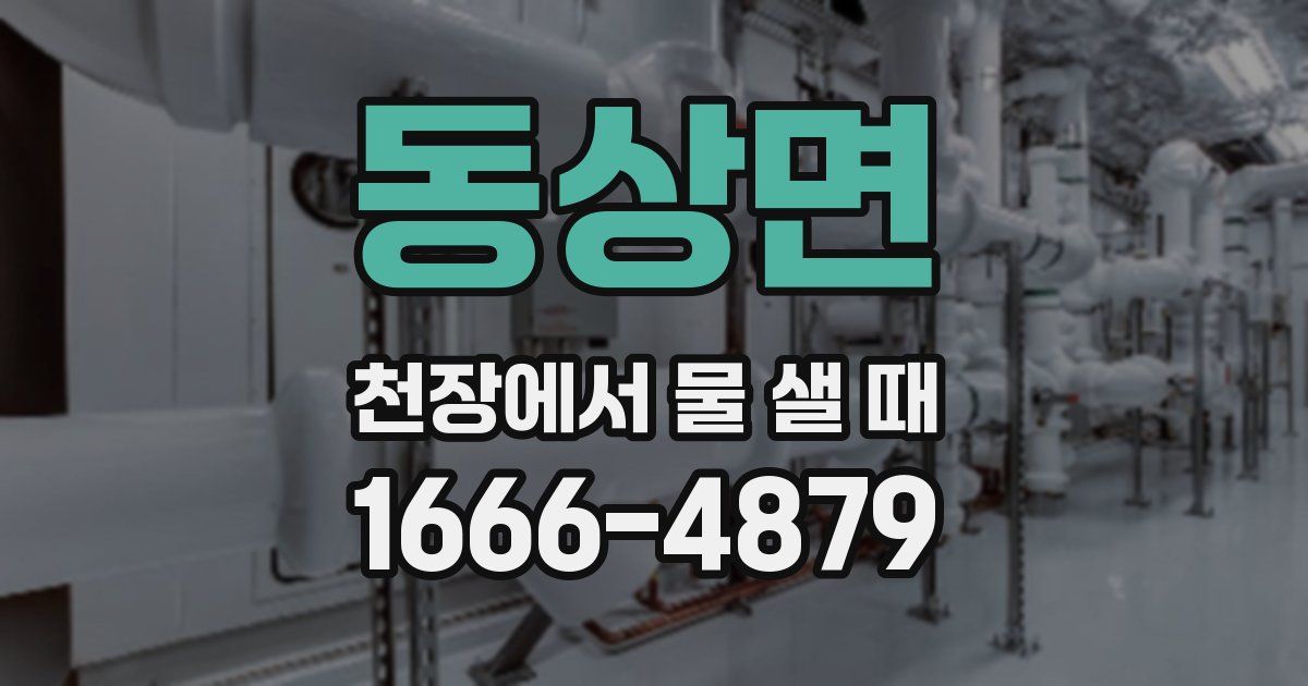 동상면 천장에서 물 샐 때
