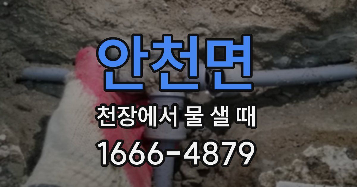 안천면 천장에서 물 샐 때