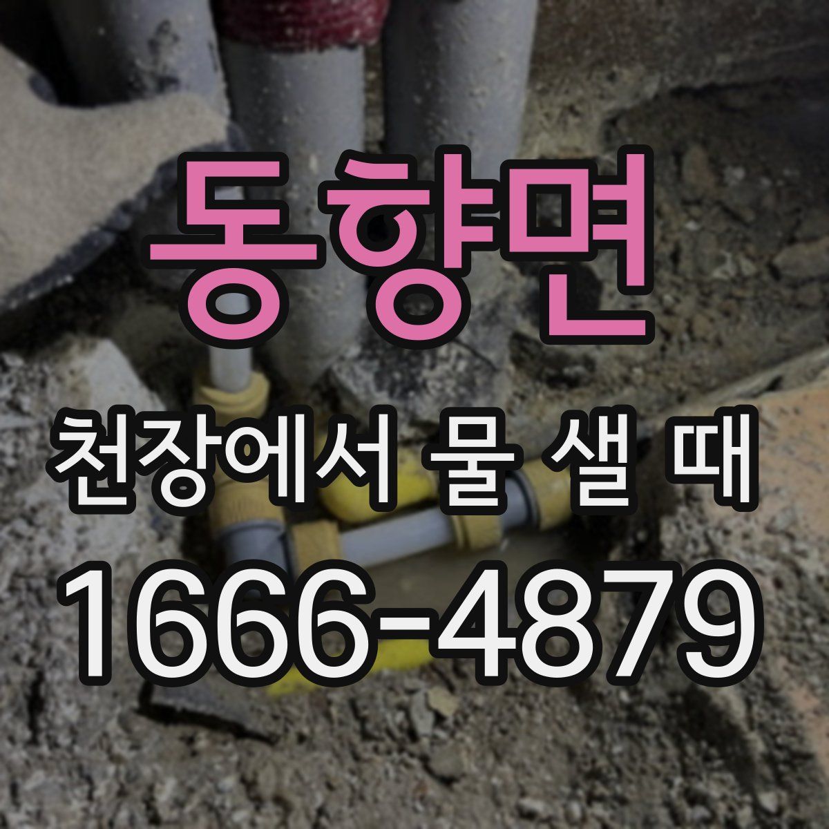 동향면 천장에서 물 샐 때