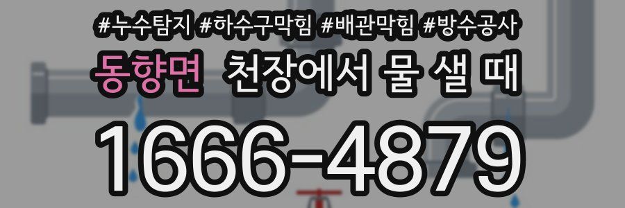 동향면 천장에서 물 샐 때